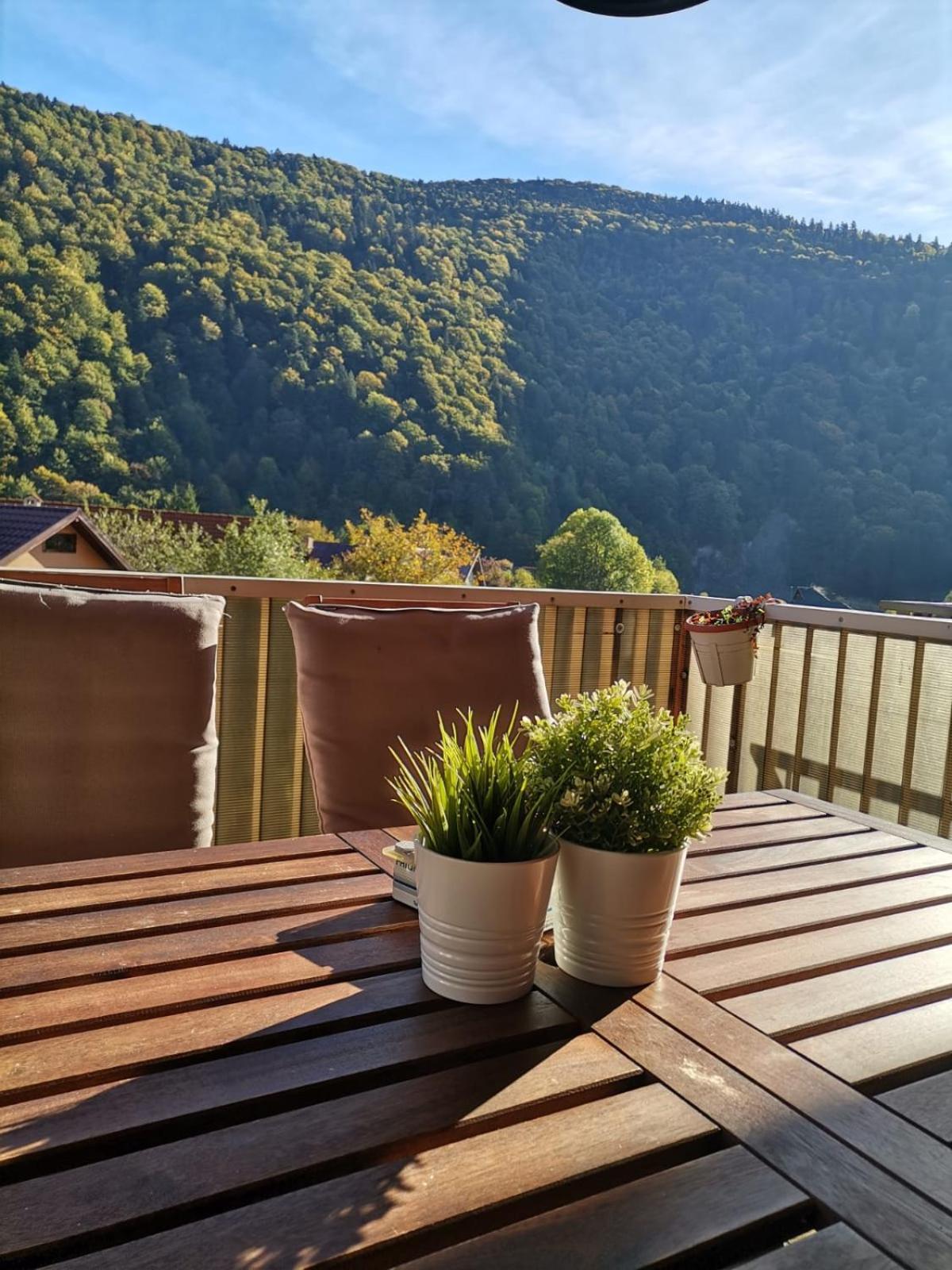 Miro Apartament Sinaia Exterior foto